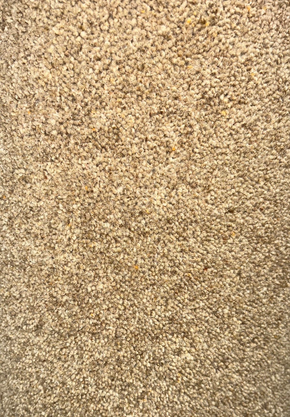 >ULSTER YORK WILTON GRANOLA 